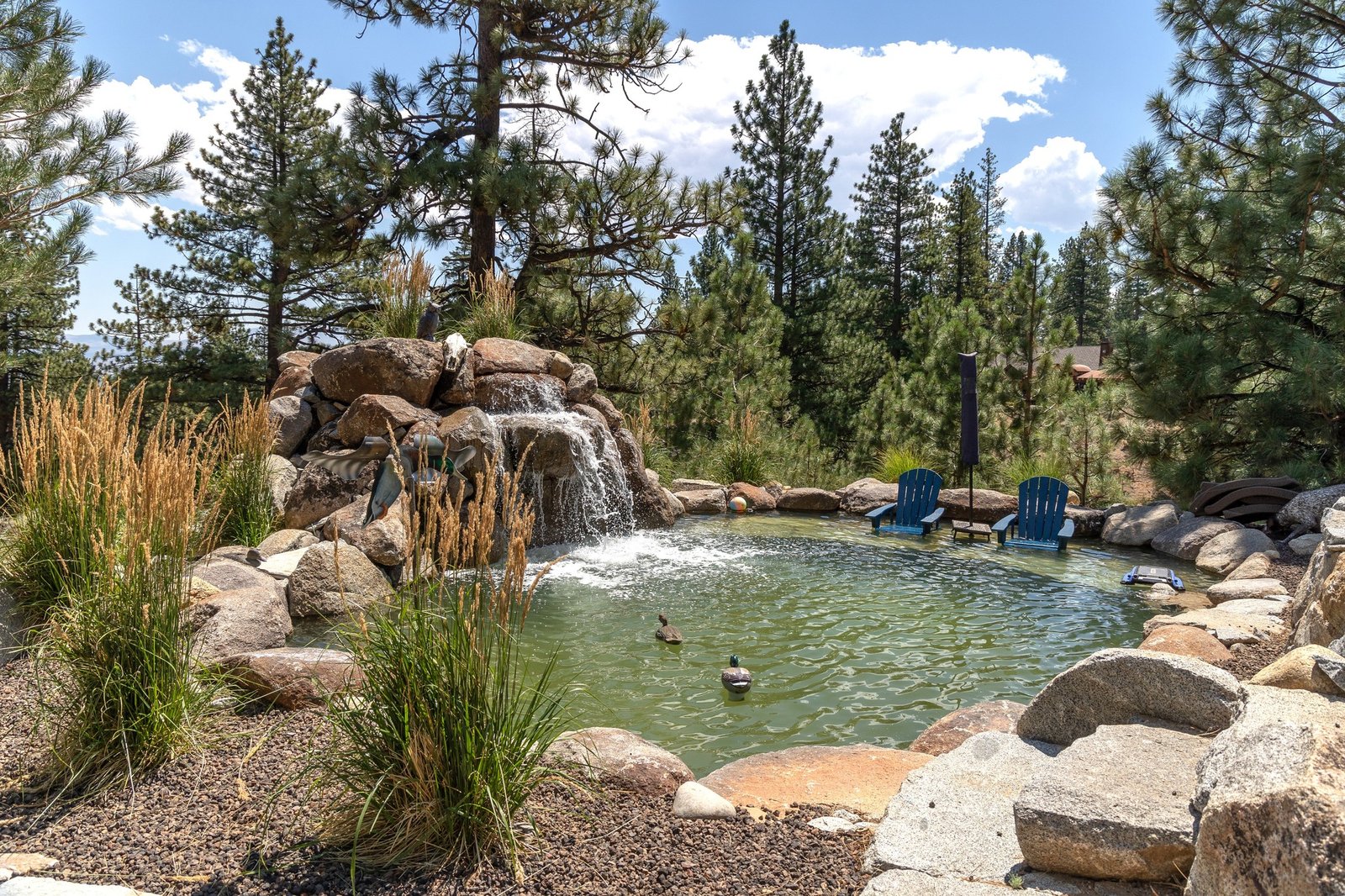Design Build Boulder water feature with swim pond and seating shelf, gail willey landscaping