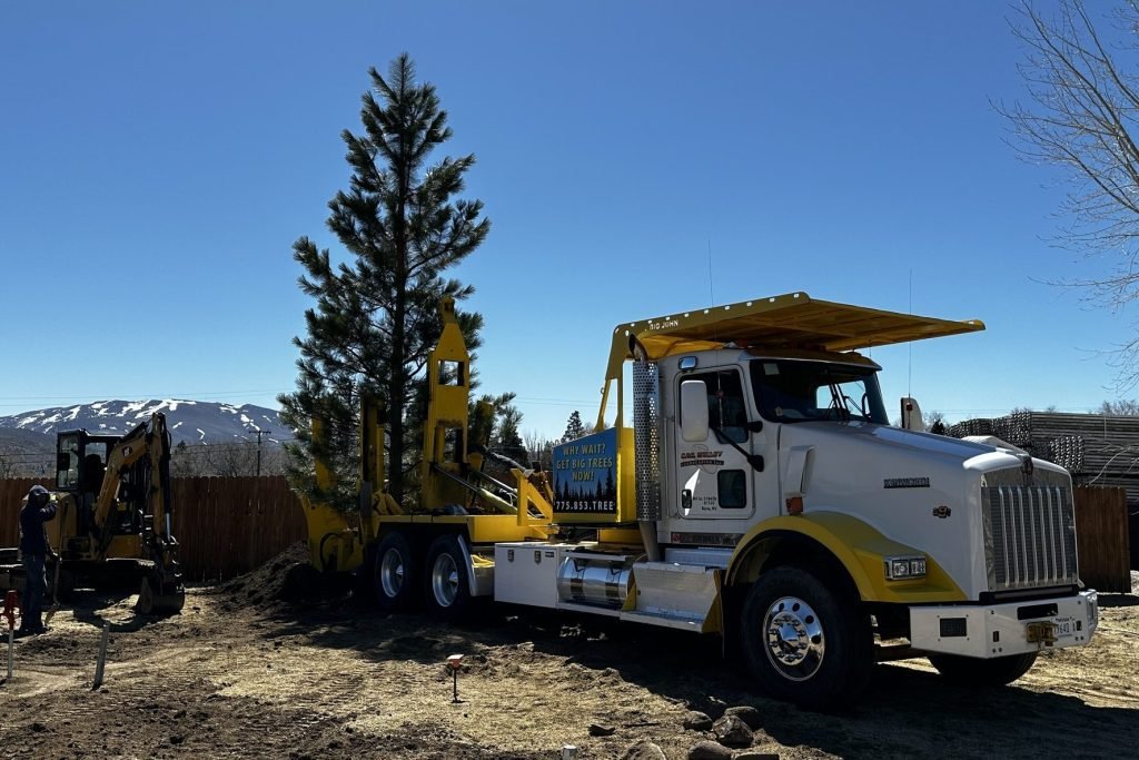 Gail Willey spade truck setting evergreen in place