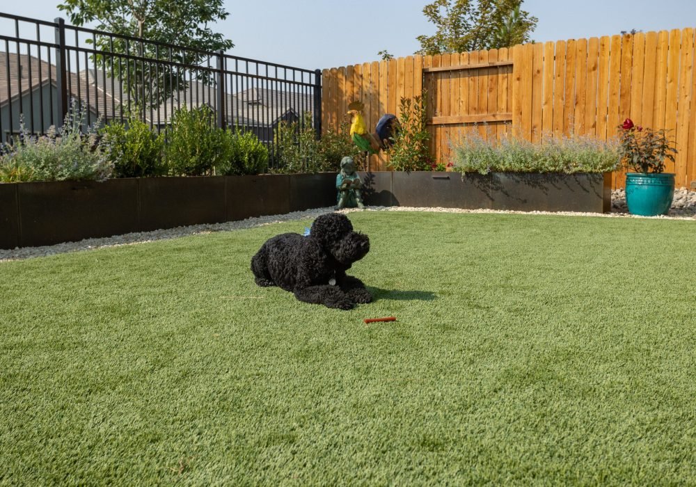 synthetic turf reno nevada tahoe california landscaping installation