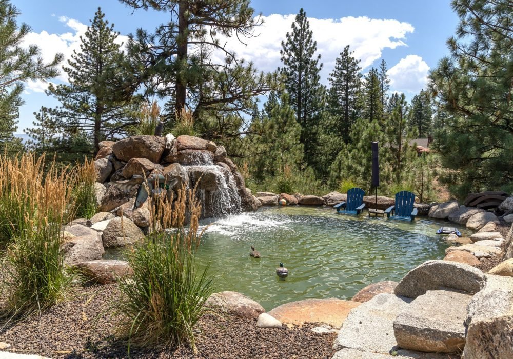 Water feature with large pond