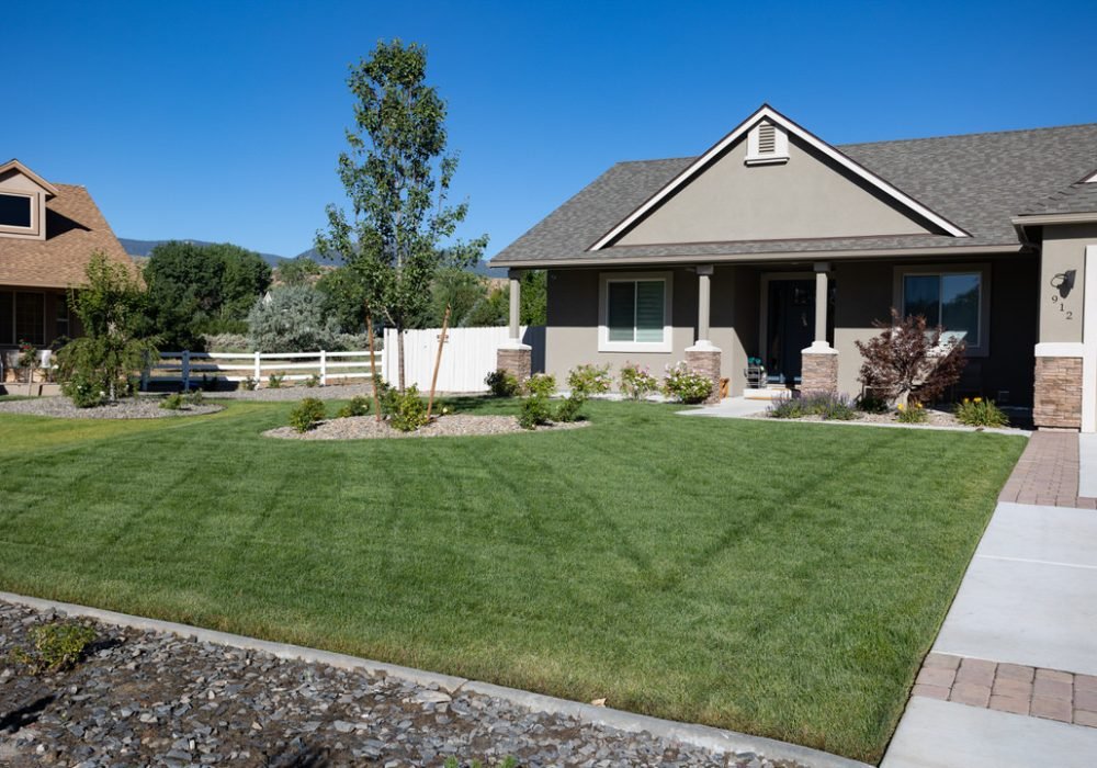 new sod grass northern nevada reno sparks california tahoe