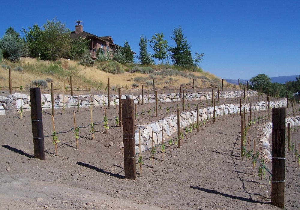 Rockery Walls, Boulder retainer walls