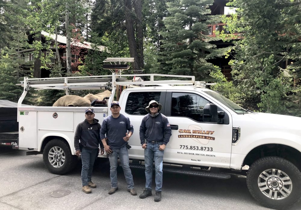 defensible fire space clearing services landscaping reno nevada tahoe california landscaping maintenance