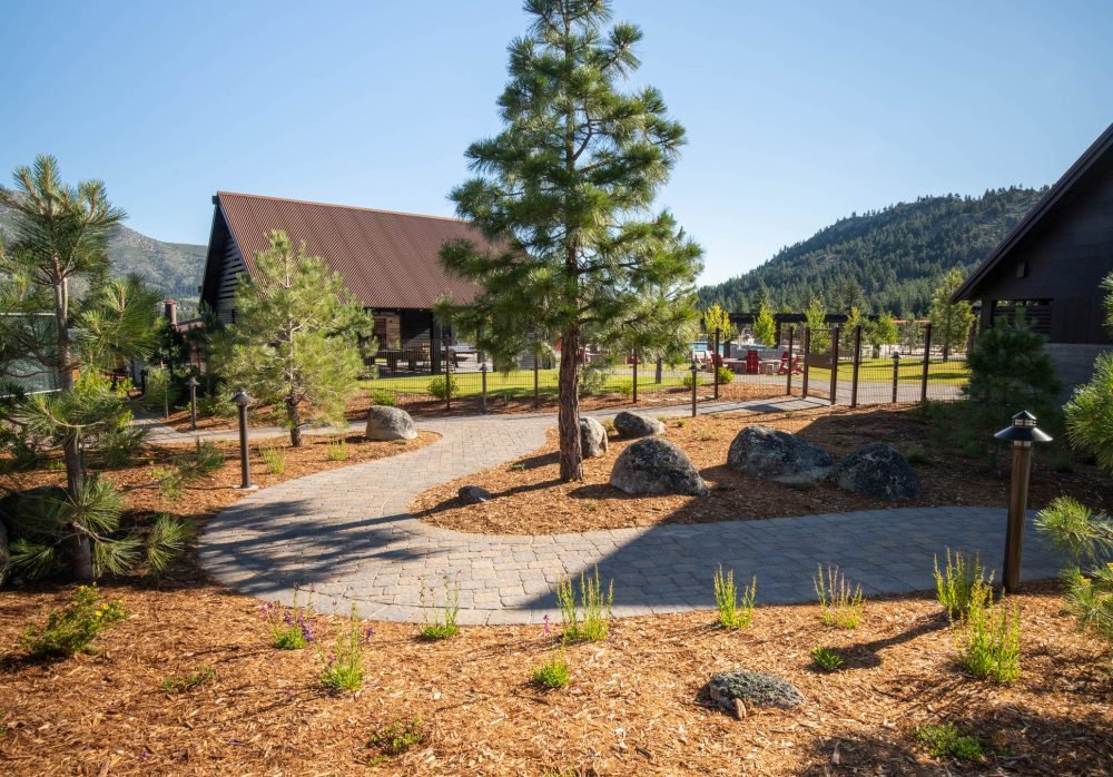 Commercial Landscaping job with perennials and large evergreen trees, a pathway and wood mulch