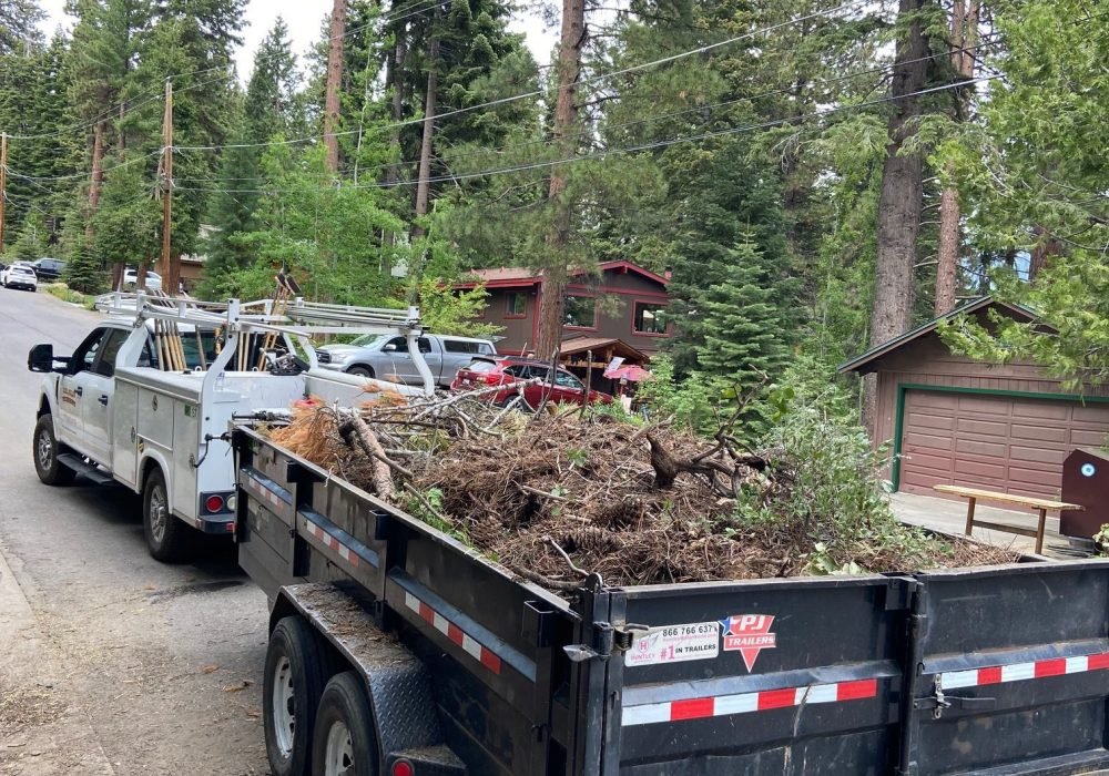 defensible fire space clearing services landscaping reno nevada tahoe california landscaping maintenance